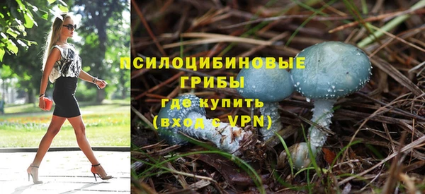 дурь Абаза